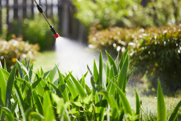 Tamper-Resistant Bait Stations for Rodents in Malvern