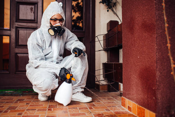 Attic and Crawl Space Rodent Treatment in Malvern