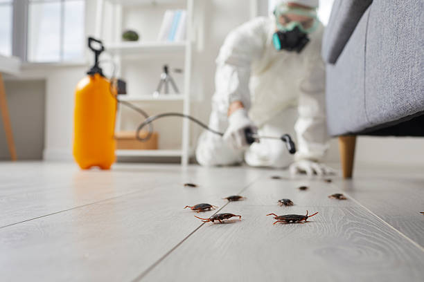 Commercial Rodent Management in Malvern